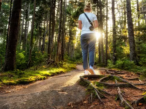 Naučná stezka Vůně dýmu a jehličí u Řevničova