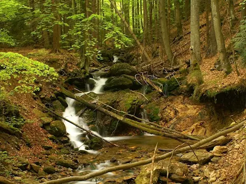 Vodopád Bílá strž – největší šumavský vodopád