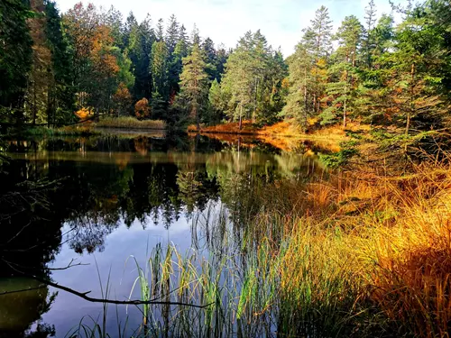 Přírodní rezervace Ranská jezírka