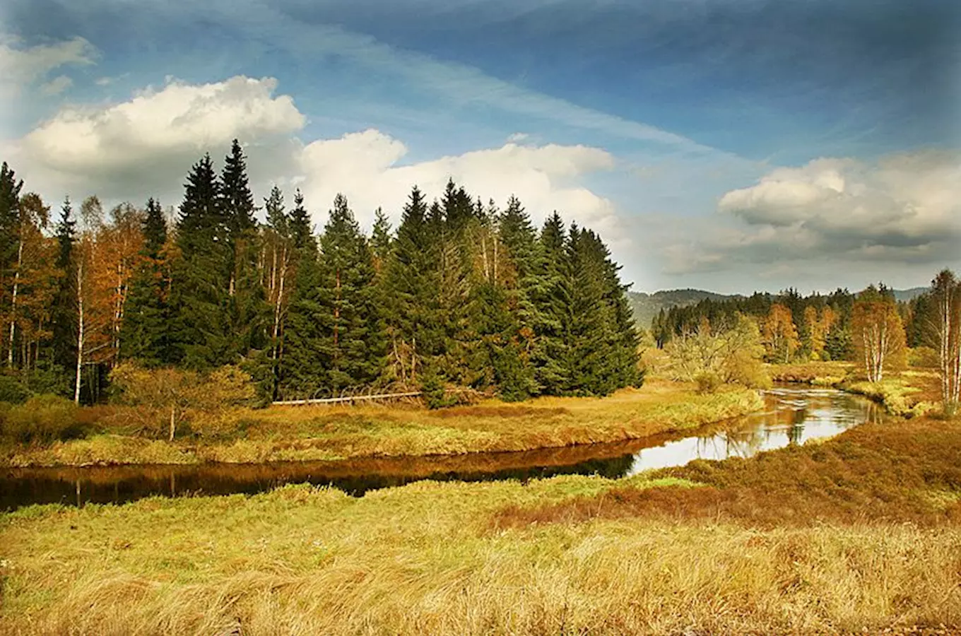 Vltavský luh a potok Hučina u Černého Kříže na Šumavě