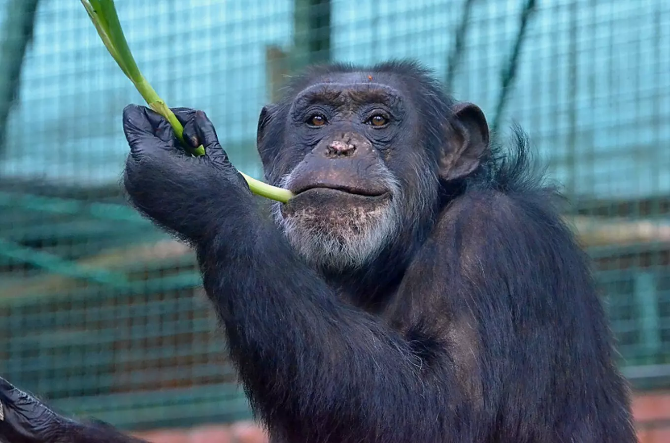 Den Země v Zoo Hodonín