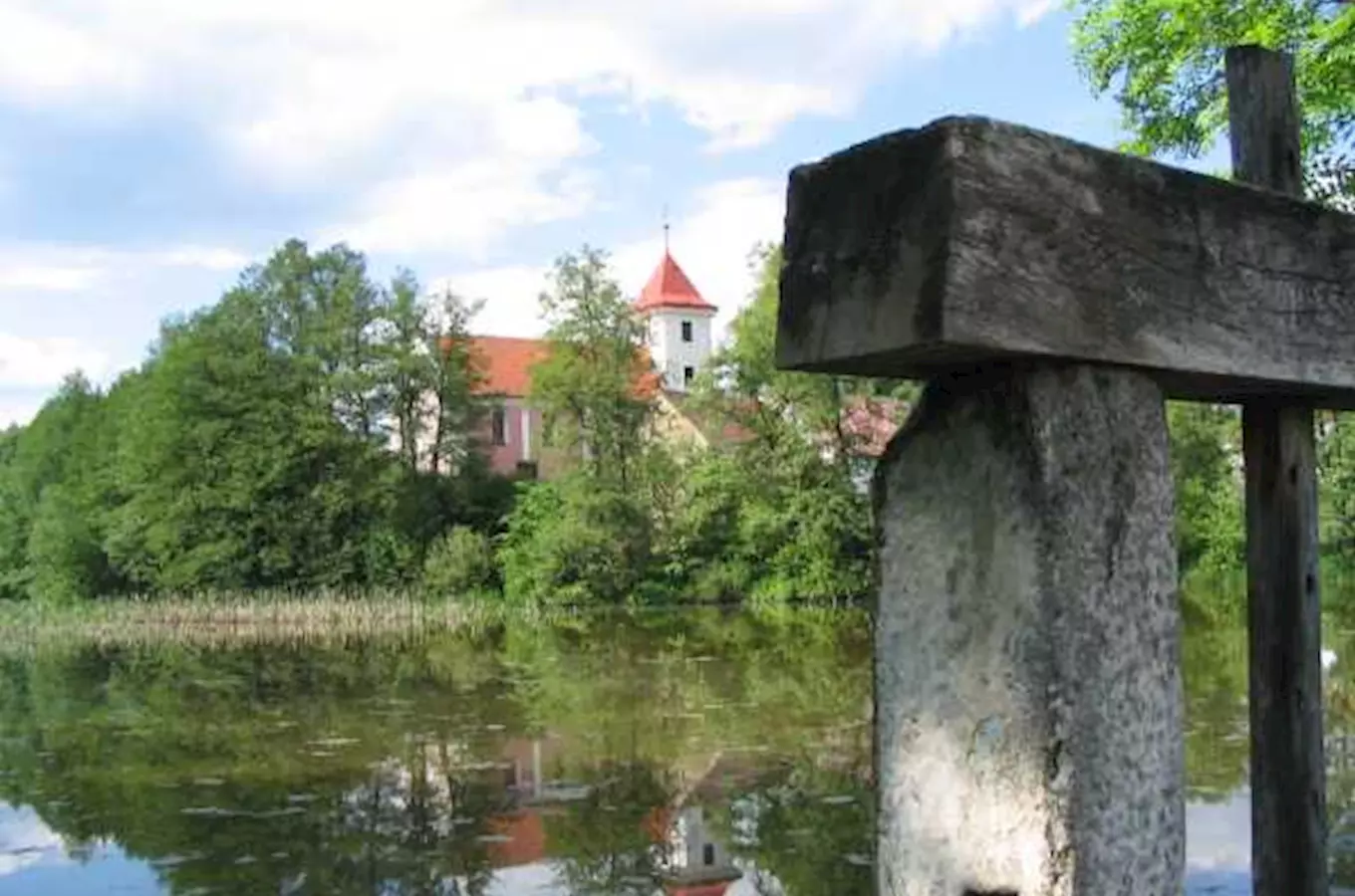 Šance pro draha – nakrmte svou ovečku v Těchonicích