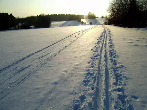 Trat Ovcí stopou