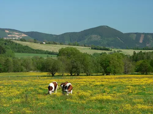 Vraní hory – malebné kopce ve stínu Krkonoš