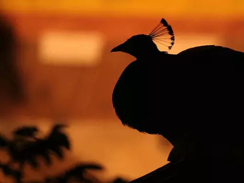 Hradozámecká noc v Třeboni 2025