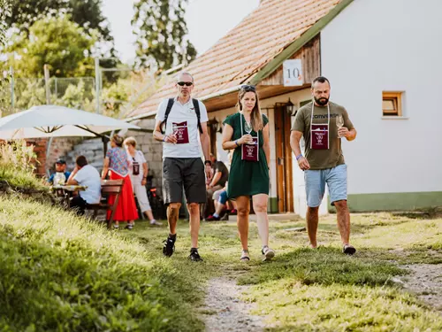 Udělejte si vycházku půvabnou krajinou Mikulčic a ochutnejte víno i burčák z otevřených sklepů