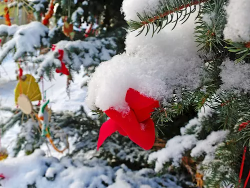 Rýmařovský advent 2024