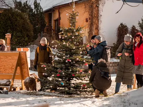 Adventní trhy a Stromeček splněných přání