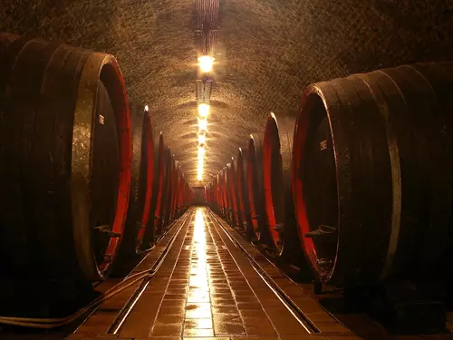 7 tipů, kam za vínem v hlavním městě vína  ve Valticích