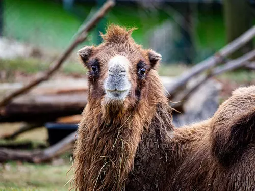 Den přátel zoo v Ústí nad Labem