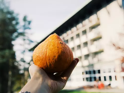 Dýňové tvoření v Hotelu Medlov 2026