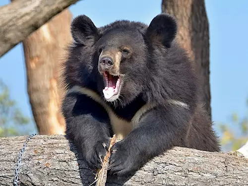 Víte, že jedinou středočeskou zoo najdete v Chlebech?