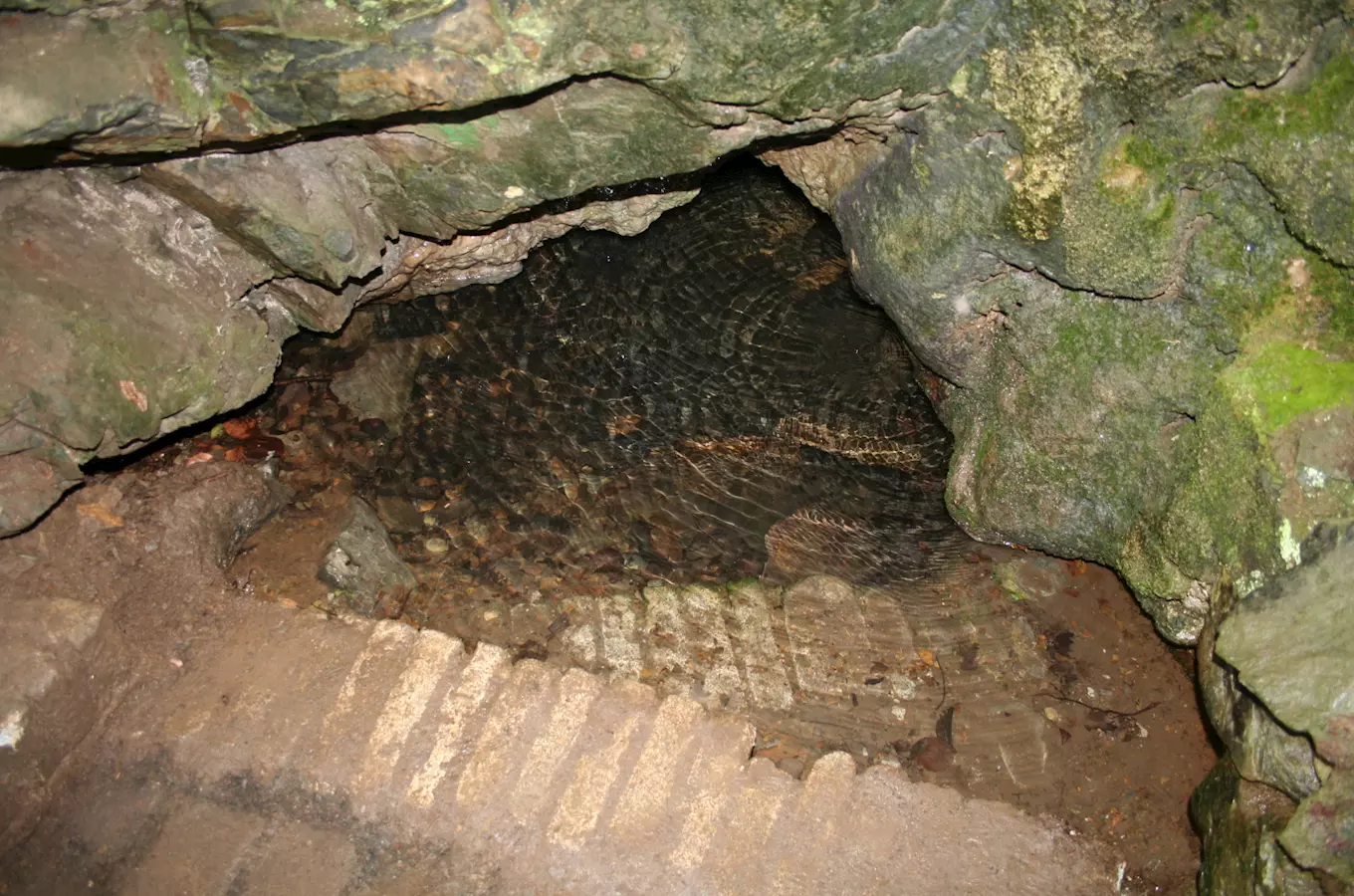 Studánka Rozárka u Zbečna