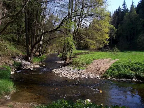 Naučná stezka údolím Úterského a Bezdružického potoka