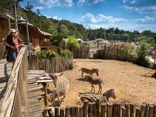 Zoo Jihlava, Kudy z nudy, africká expozice 