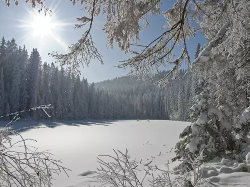 Jezero Laka – nejmenší a nejvýše položené šumavské jezero