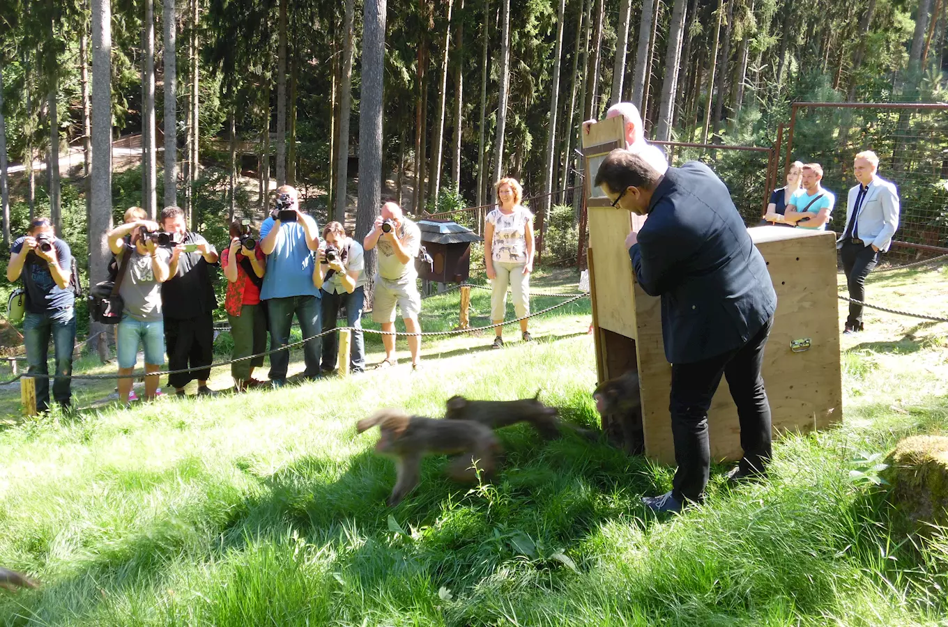 Přírodním výběhem makaků se můžete projít nově v Zoo Olomouc