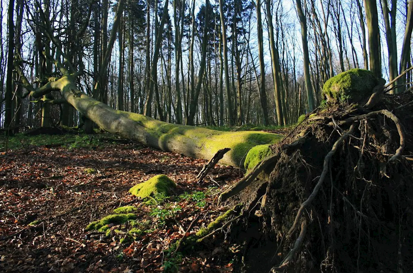 Velká Javořina – nejvyšší vrchol Bílých Karpat