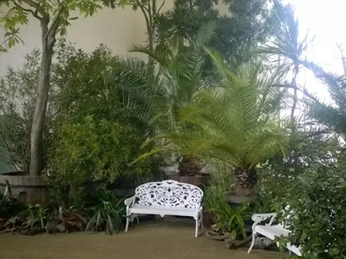 Expozice tropických rostlin ve Velkém skleníku