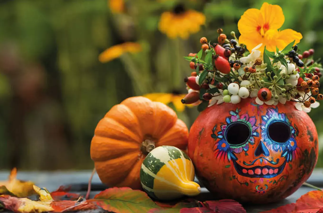 Výstava dýní a dýňových aranžmá v botanické zahradě v Troji – Día de los Muertos