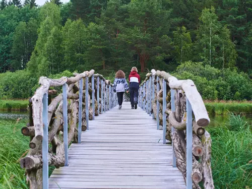 100 tipů na procházky po naučných stezkách v lese, na loukách i okolo rybníků