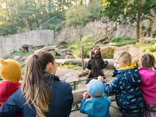 Den dětí v Zoo Děčín – vstup za 10 Kč
