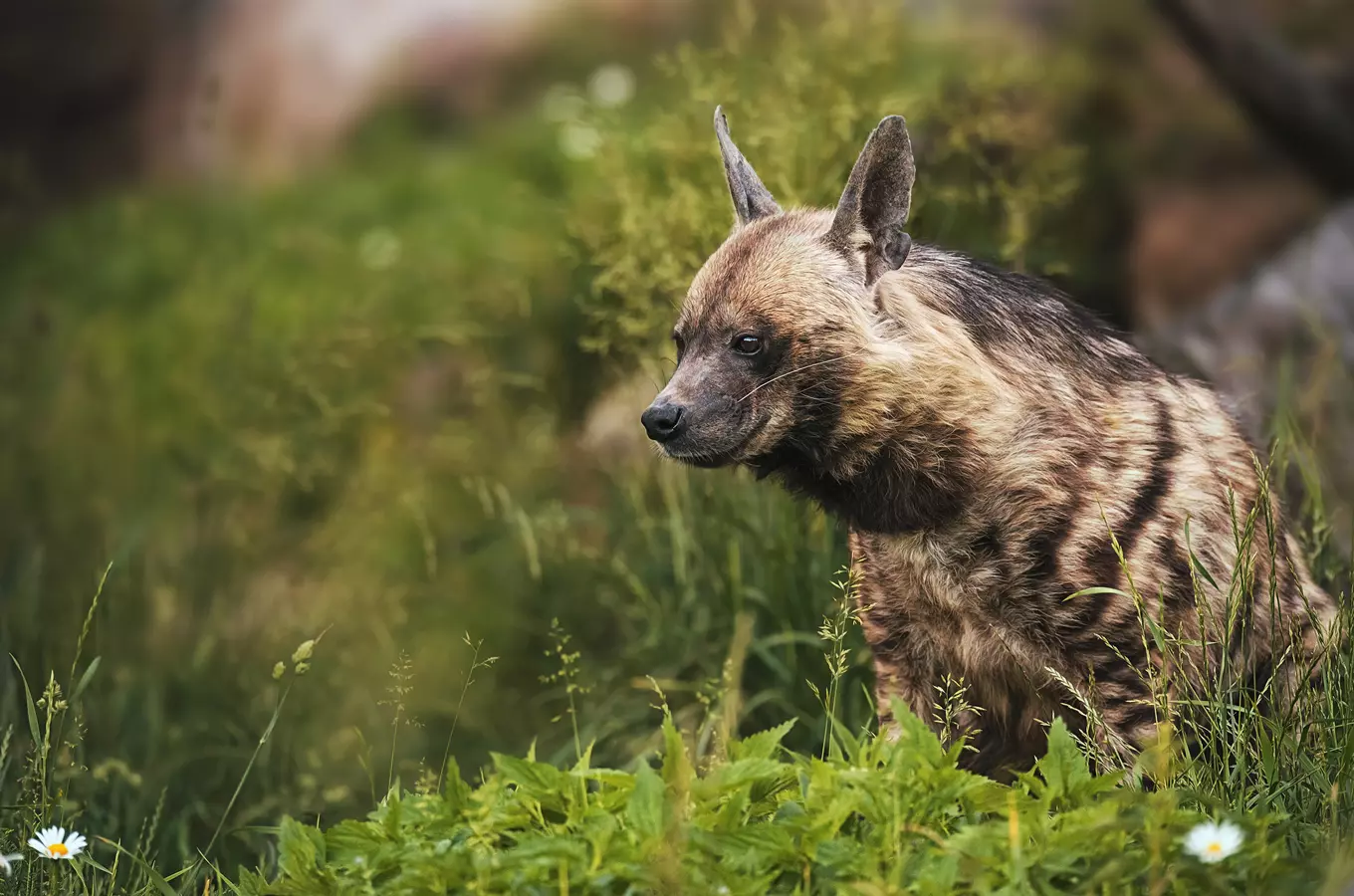 Zoo Jihlava – připravte se na zážitek