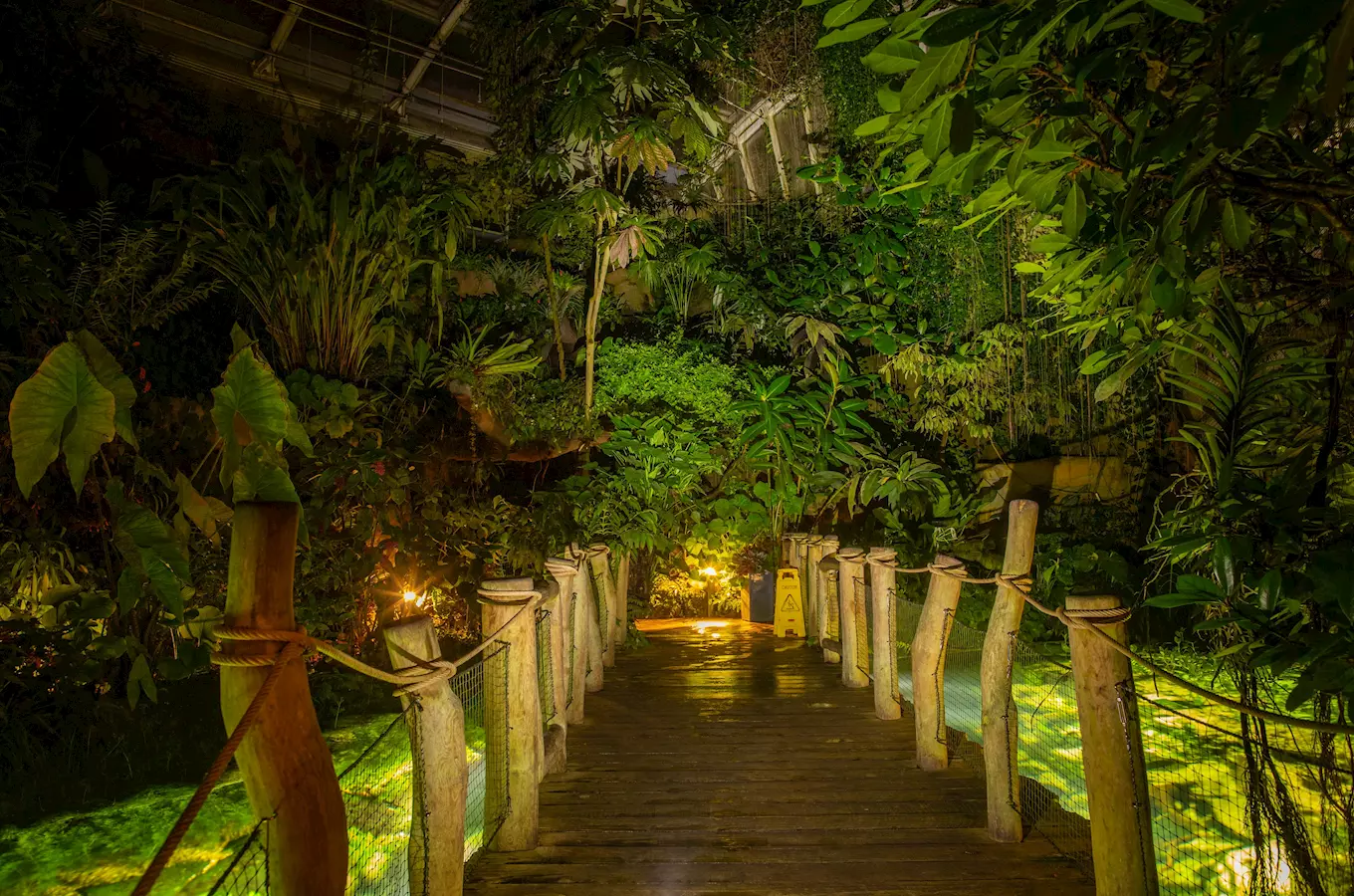 Zažijte noční kouzlo skleníku Fata Morgana v Botanické zahradě