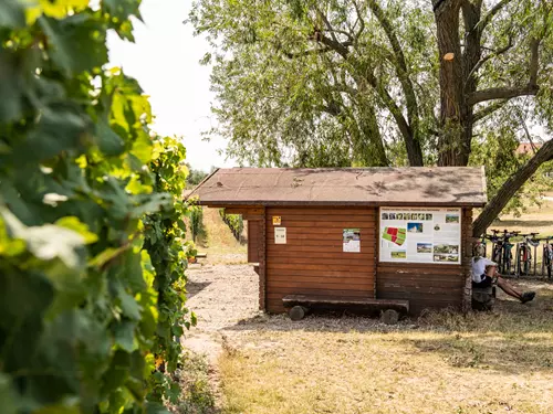Viniční trať Staré vinice Havraníky