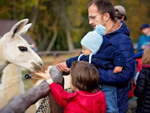 Obory, zookoutky a zvěřince, pro děti celoročně, Kudy z nudy