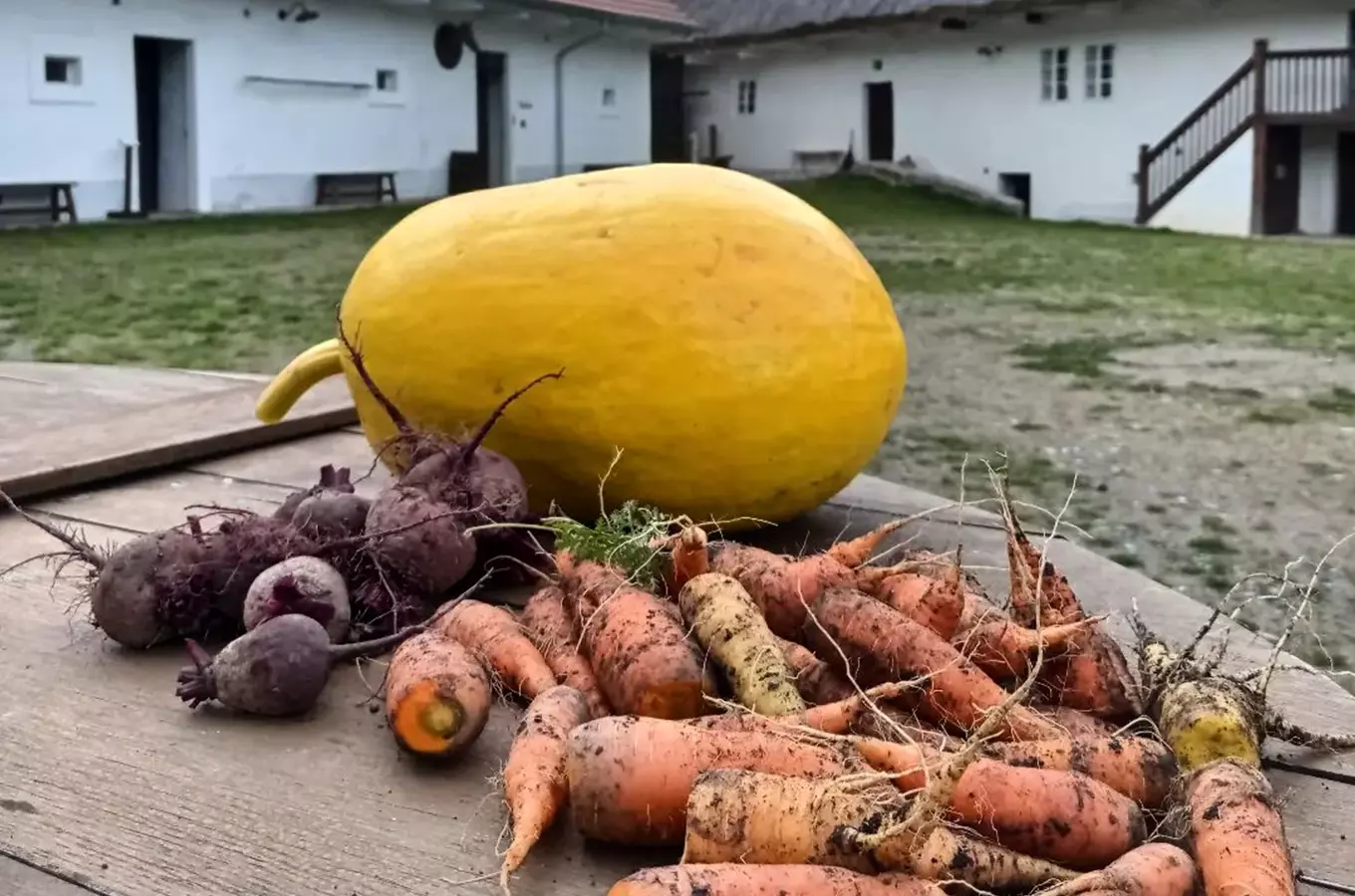 Selský dvůr U Matoušů v Plzni – Bolevci