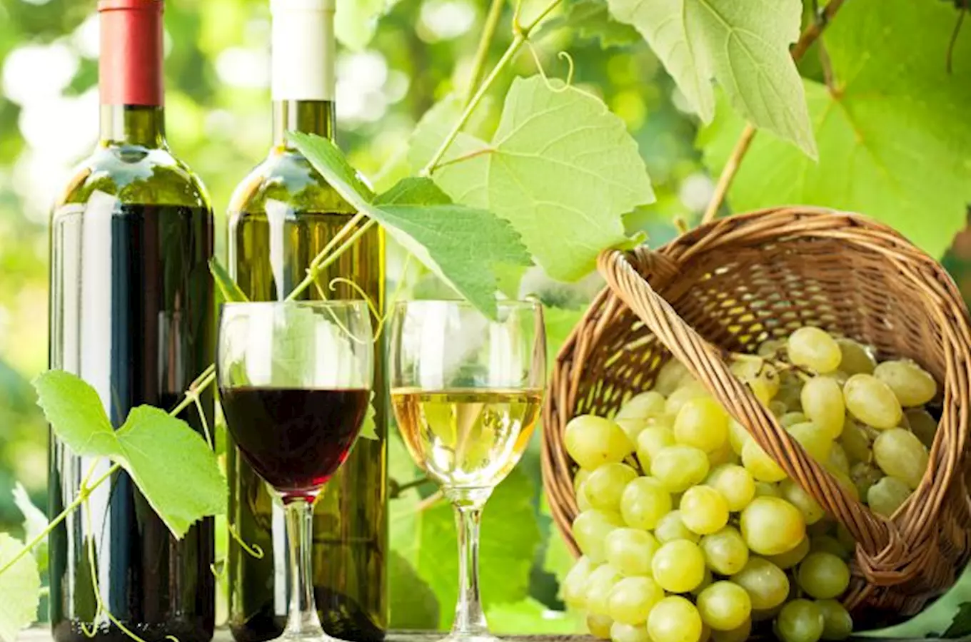 Penzion Onyx Lednice - vinařská turistika na jihu Moravy