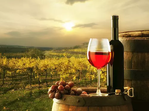 Salon vín je nejpopulárnějším TOP vinařským cílem roku 2022