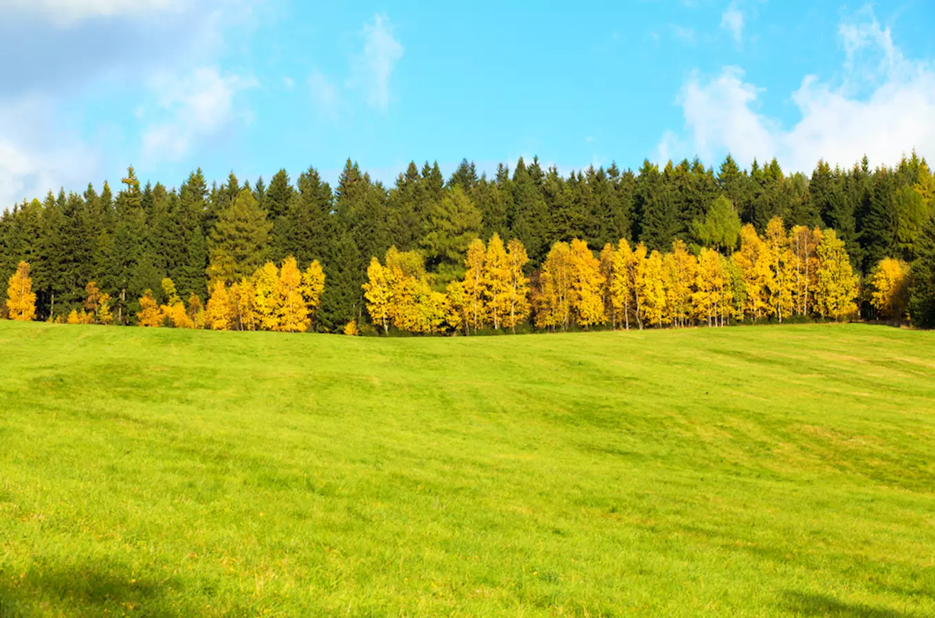 Výlet k hrádku Aichelburg, který není hrad