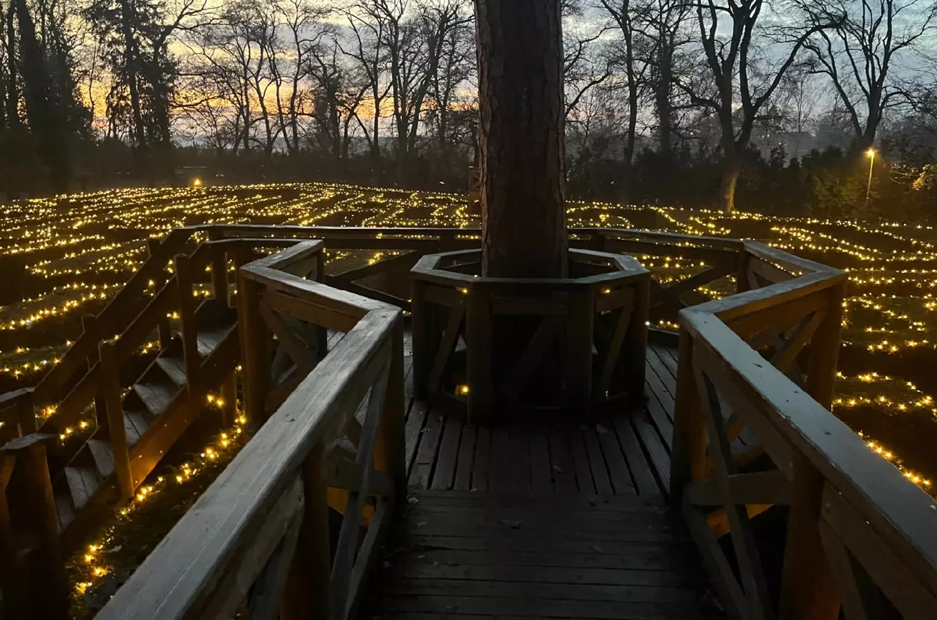 Vánočně nasvícený zámecký park u zámku Loučeň