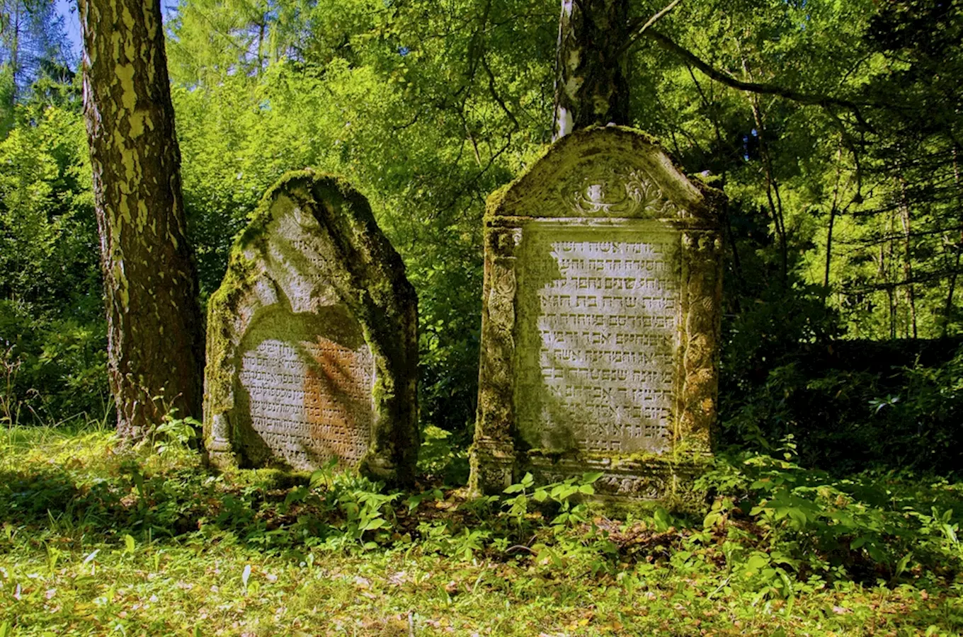 Židovský hřbitov v Mariánských Lázních