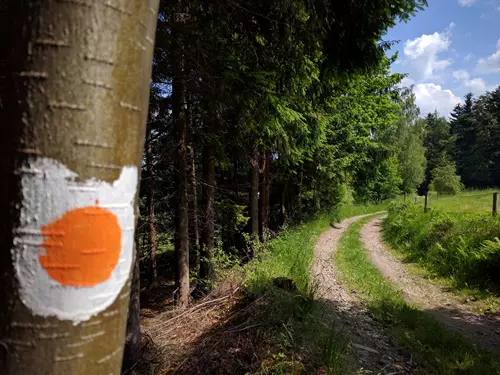 Oranžová liščí stezka - Po medvědích tlapkách