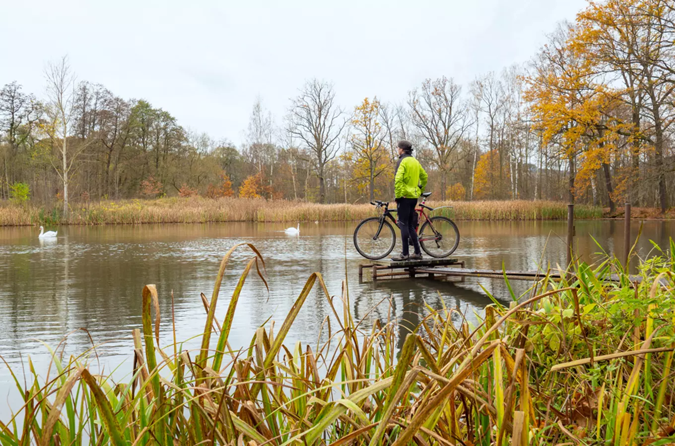 Cyklostezka Lužnice na Třeboňsku – krajinou dvojího nebe