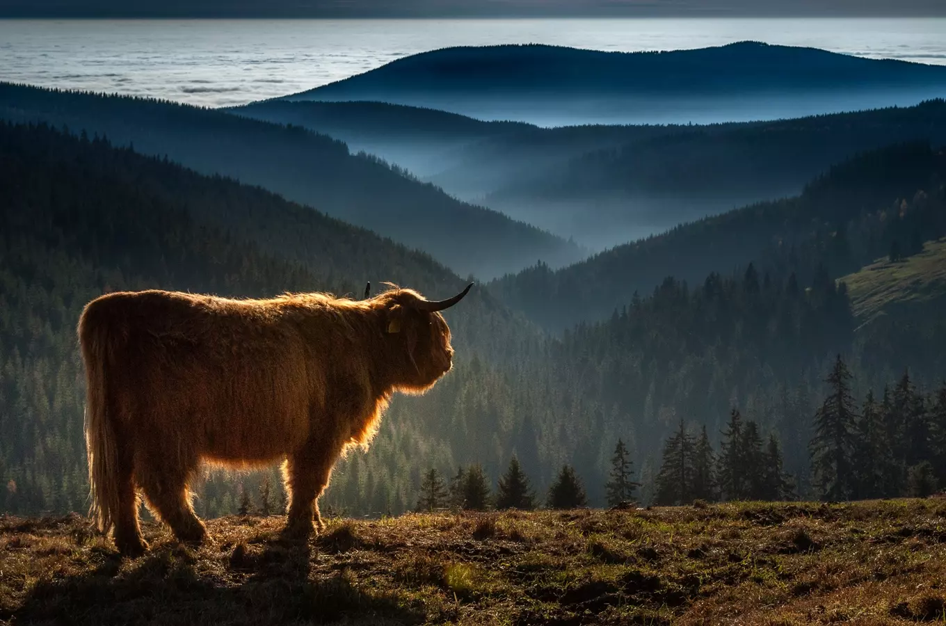 Boudka Klínovka, Kudy z nudy