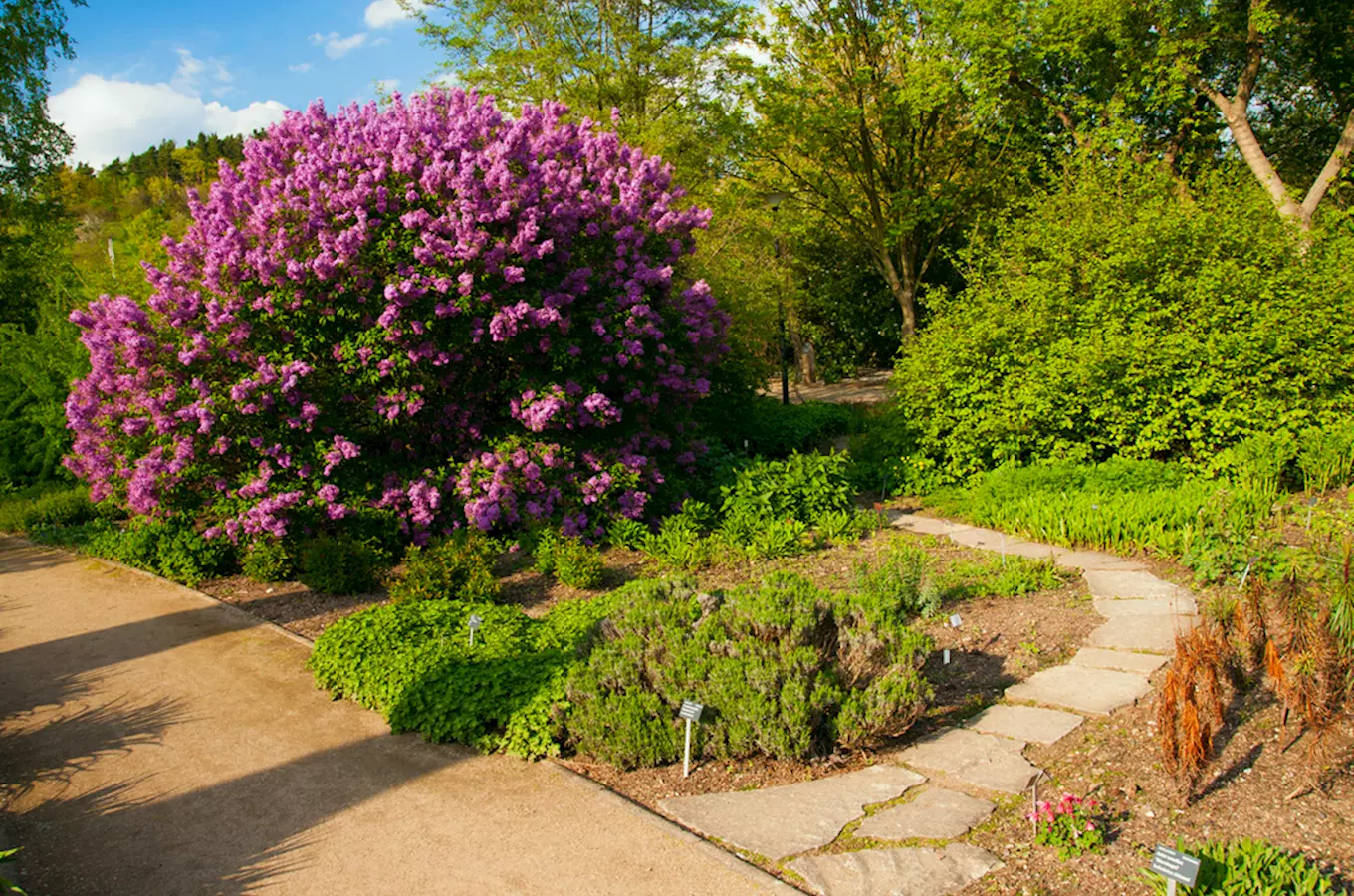 Květen v trojské botanické zahradě patří lásce i zážitkům