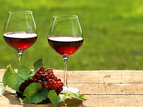 Svatomartinské víno ochutnáte v Jihlave i v Brne