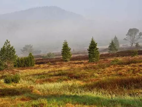 Šumava