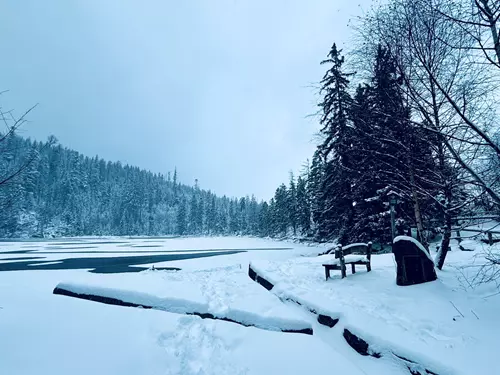 Prášilské jezero na Šumavě