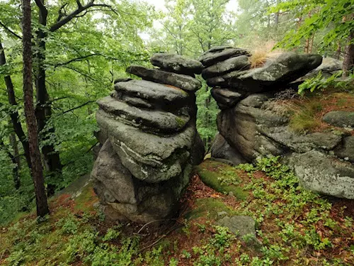 Národní přírodní památka Borový