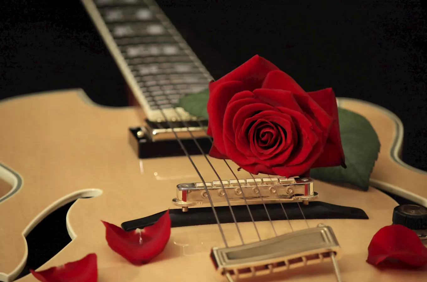 Alfred H Rak Štěpán Rak a Alfréd Strejček – koncert pro mistra Jana na Krakovci ...