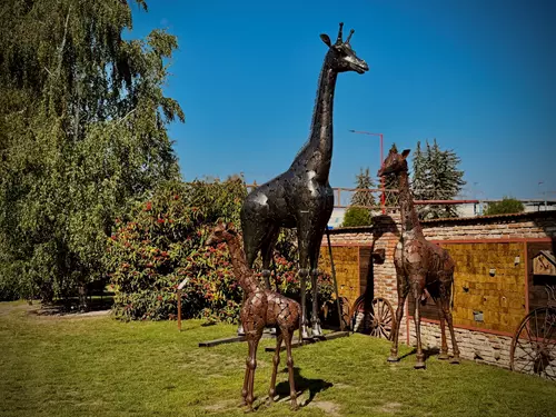Kovozoo Staré Město – originální zoo na Slovácku