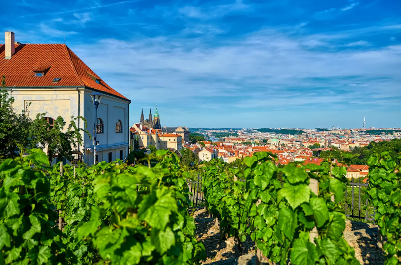 Při Vinobraní na Pražském hradě ochutnáte skvělá vína