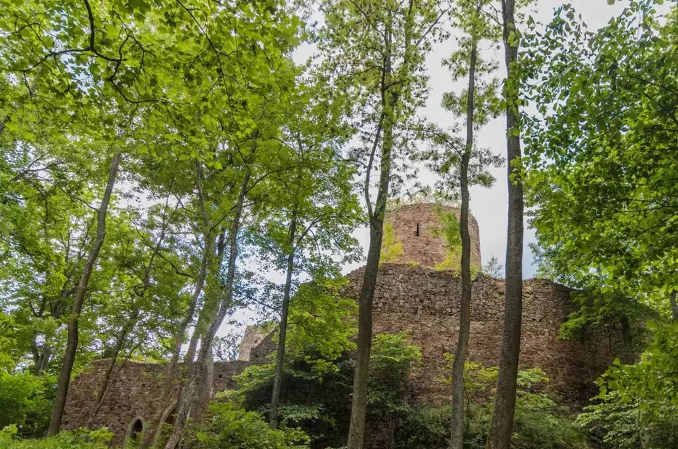 Den Středočeského kraje – komentovaná vycházka na hrad Valdek