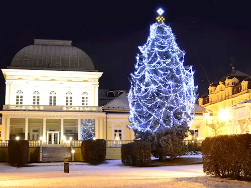 Rozsvícení vánočního stromu ve Františkových Lázních 2023