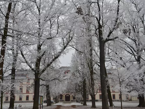 Lovecký zámek Ohrada v zimě